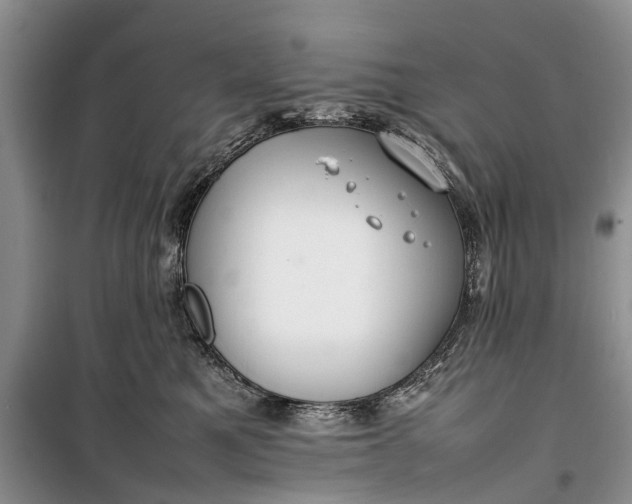 X0000100220521200806131317