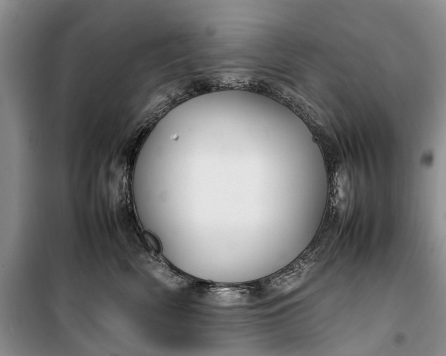 X0000100220522200806131317