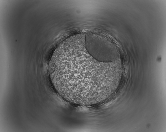 X0000100220523200806131317