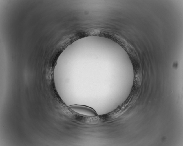 X0000100220525200806131317