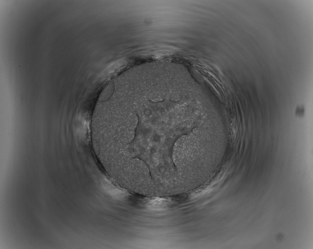 X0000100220527200806131317