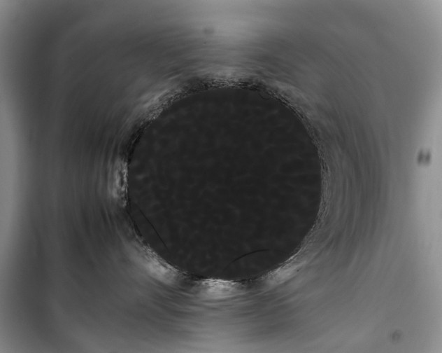 X0000100220528200806131317