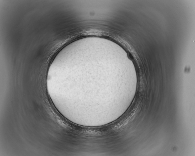 X0000100220529200806131316