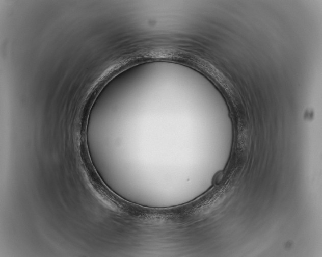 X0000100220530200806131316