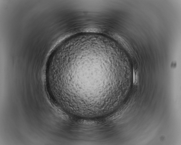 X0000100220531200806131316