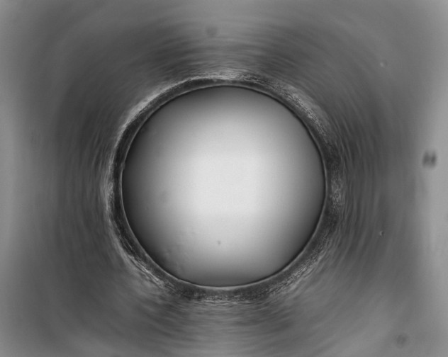 X0000100220532200806131316