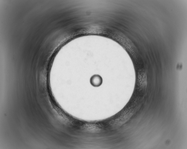 X0000100220534200806131316