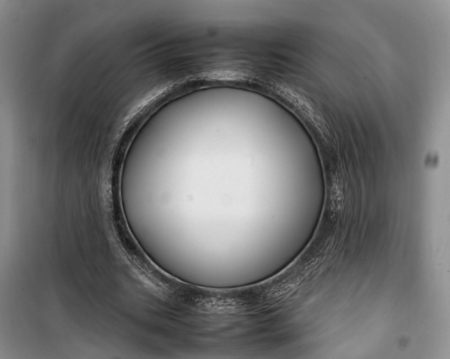 X0000100220535200806131316