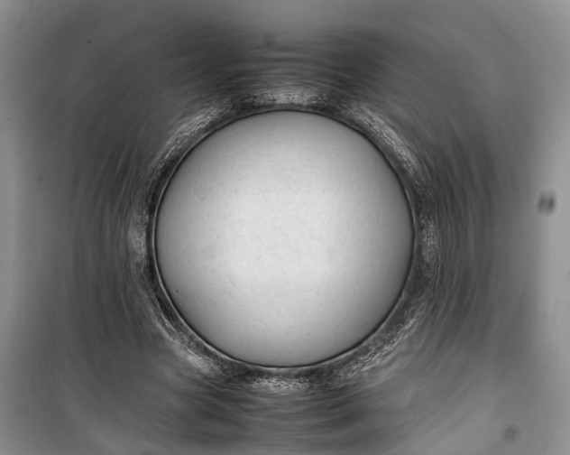 X0000100220537200806131316