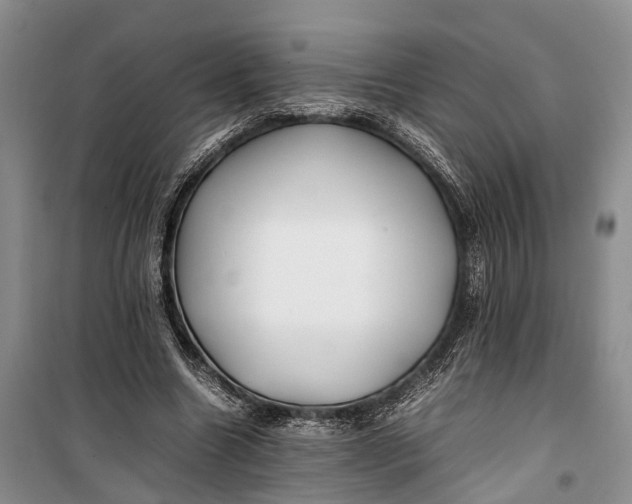 X0000100220538200806131316