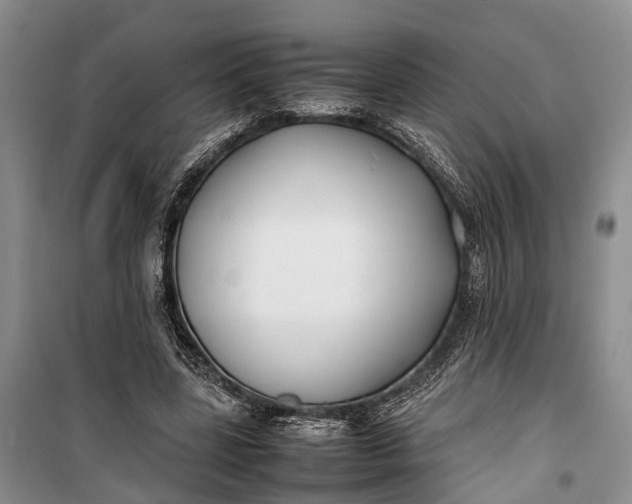 X0000100220539200806131316