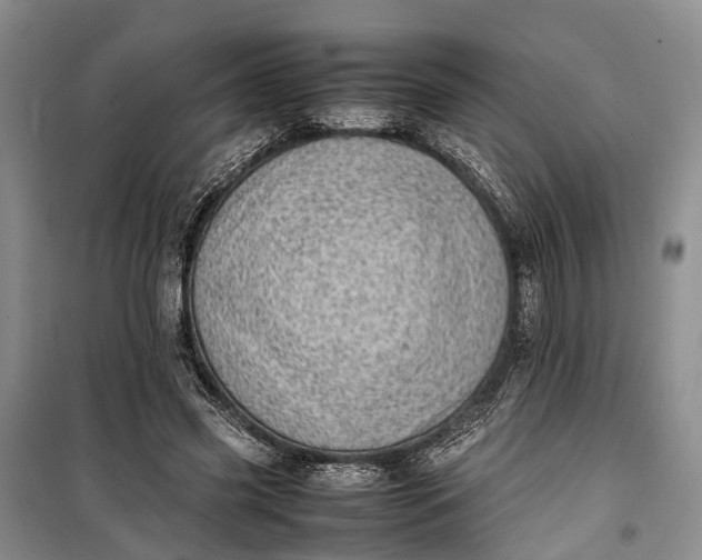 X0000100220541200806131316