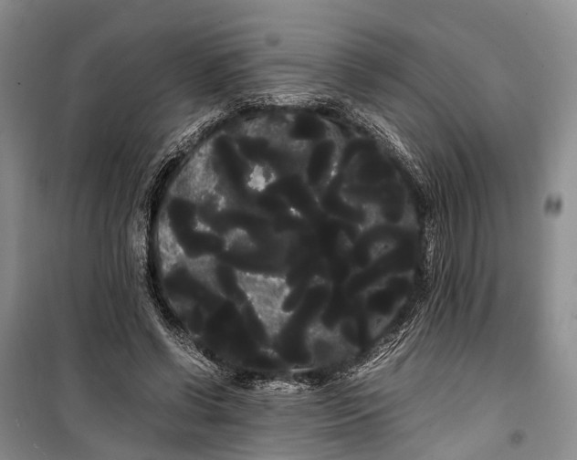 X0000100220542200806131316