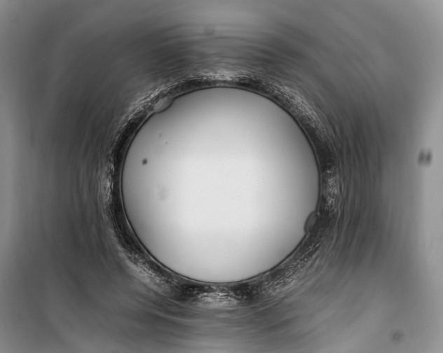 X0000100220544200806131317