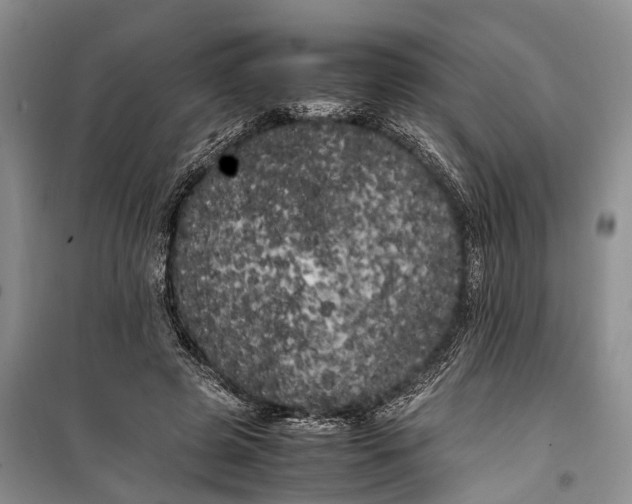 X0000100220545200806131317