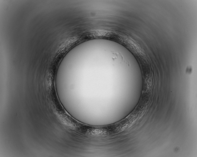 X0000100220546200806131317