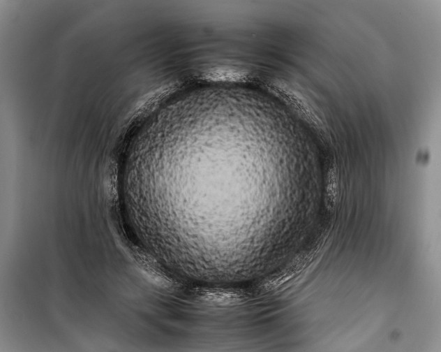 X0000100220547200806131317