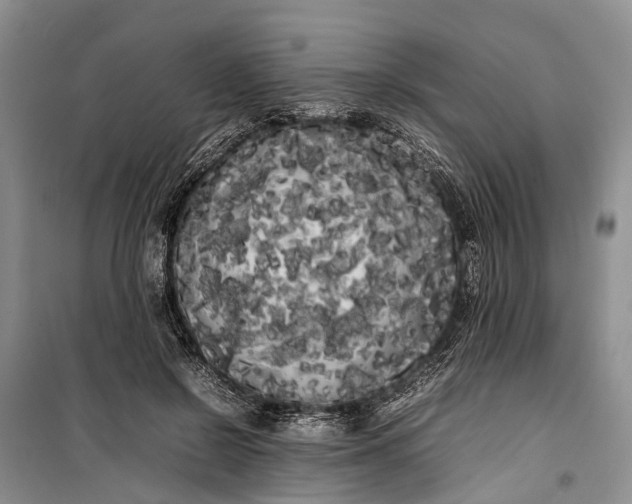 X0000100220550200806131317