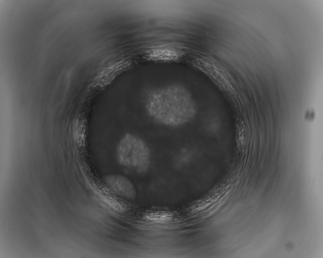 X0000100220551200806131317