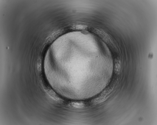 X0000100220552200806131317