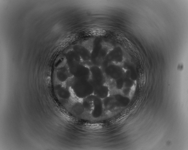 X0000100220553200806131317