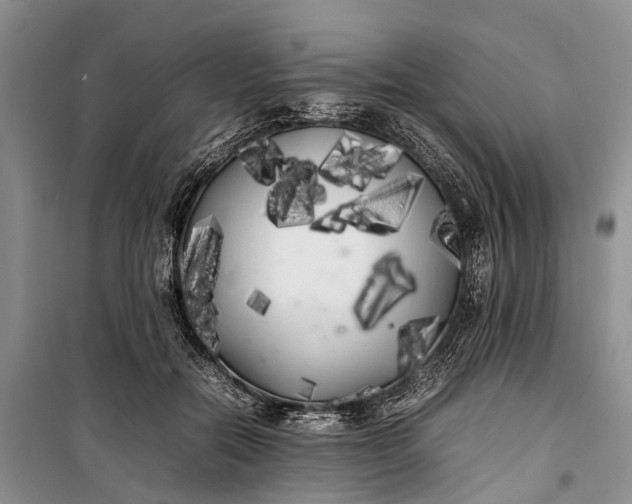 X0000100220554200806131317