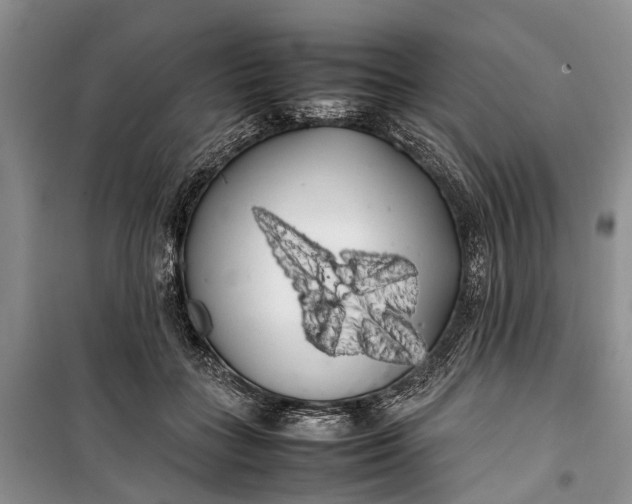 X0000100220555200806131317