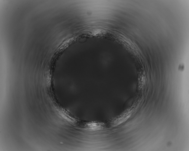 X0000100220558200806131317