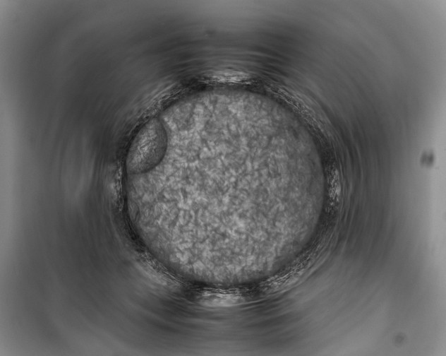 X0000100220559200806131317