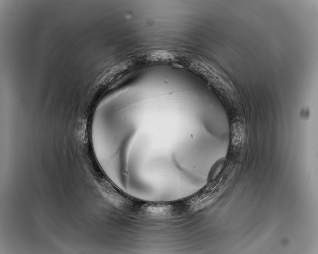 X0000100220560200806131317