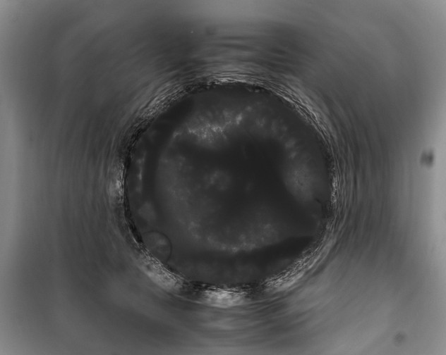 X0000100220561200806131317