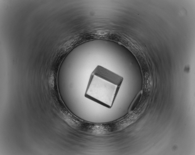 X0000100220562200806131317