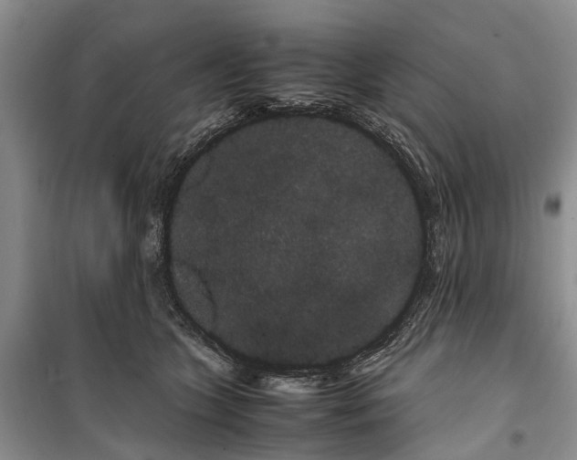 X0000100220563200806131317