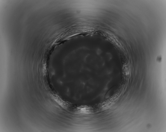 X0000100220564200806131317