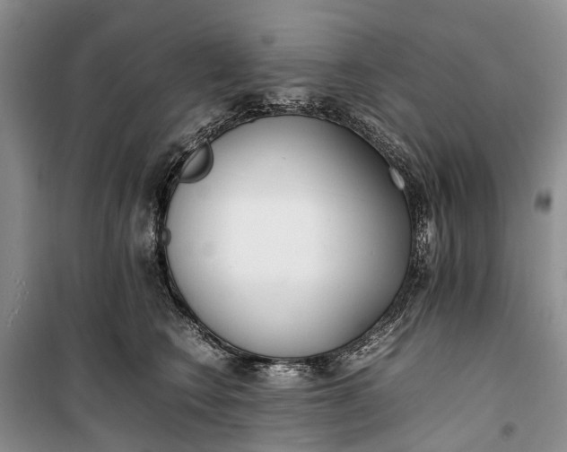 X0000100220566200806131317