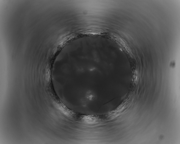 X0000100220568200806131317