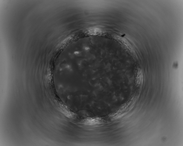 X0000100220569200806131317