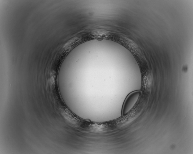 X0000100220570200806131317