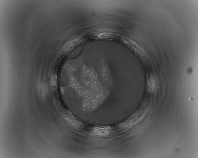 X0000100220571200806131317