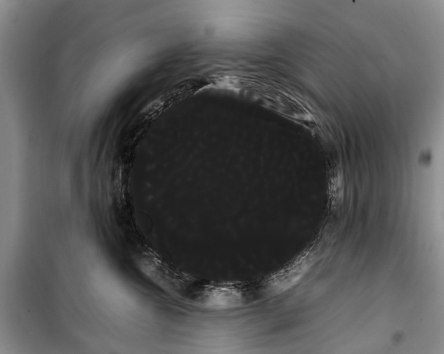 X0000100220572200806131317