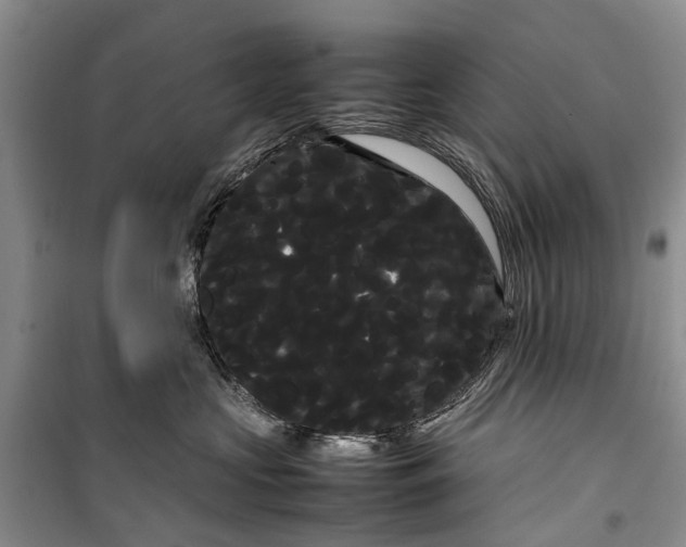 X0000100220573200806131317