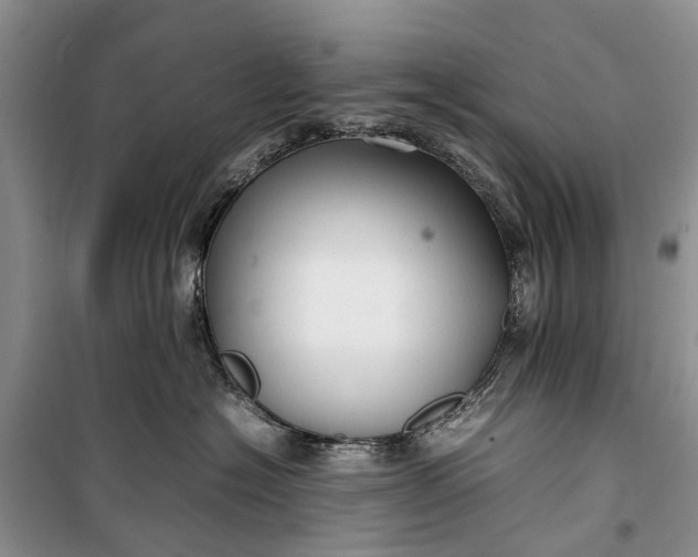 X0000100220574200806131317