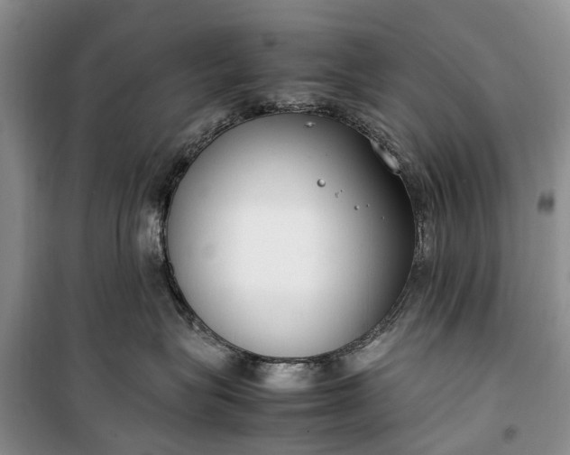 X0000100220575200806131317