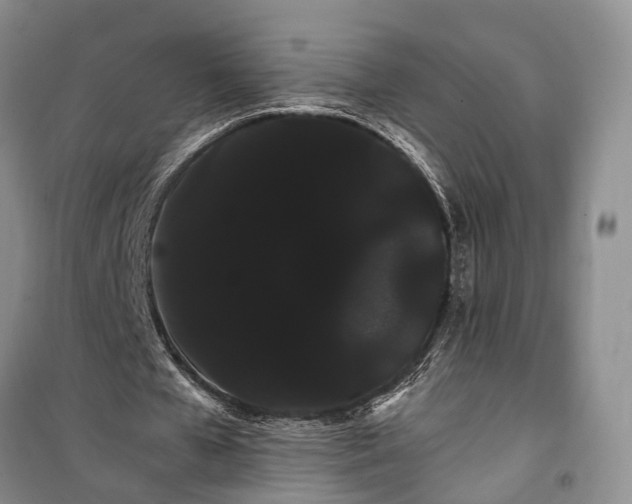 X0000100220577200806131316