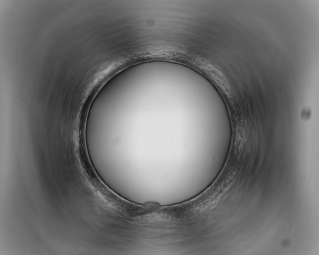 X0000100220578200806131316