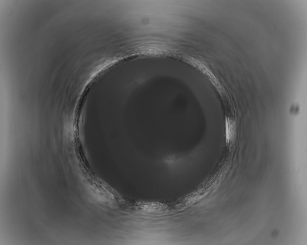 X0000100220579200806131316