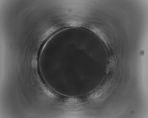 X0000100220581200806131316