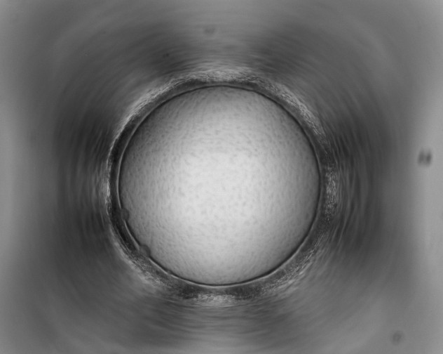 X0000100220582200806131316