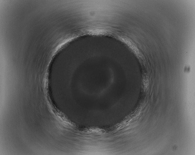 X0000100220583200806131316