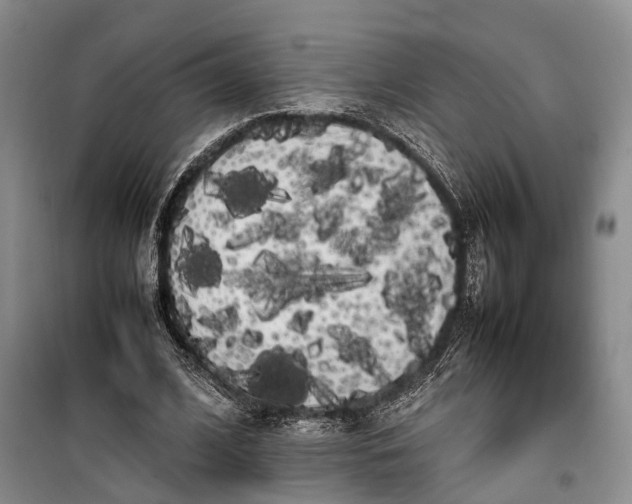 X0000100220584200806131316